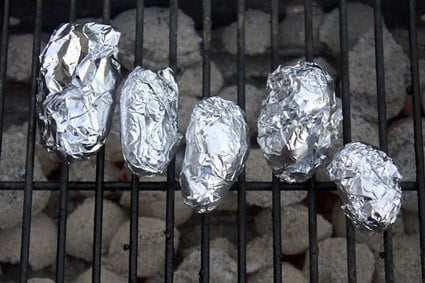 can cockroaches eat through tin foil?