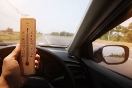 can roaches survive in a hot car?