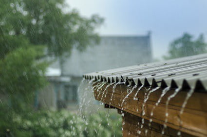 does rain bring out cockroaches?