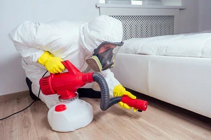 how to avoid cockroaches while sleeping