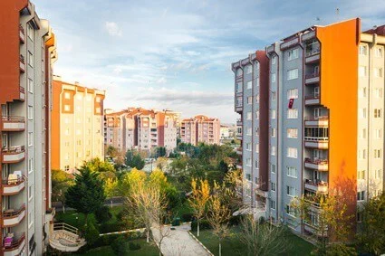 cómo deshacerse de las cucarachas de los vecinos