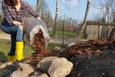 does garden mulch attract cockroaches?