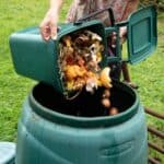 how to get rid of cockroaches in compost bin