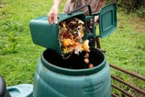 how to get rid of cockroaches in compost bin