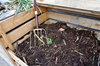 how to keep cockroaches out of compost bins