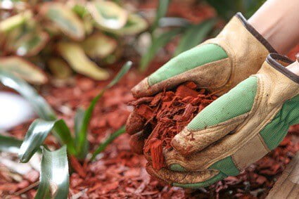 mulch that repels cockroaches