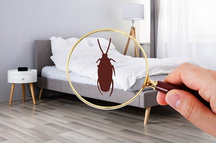 where do cockroaches hide in a bedroom?