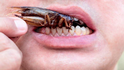 cockroach in mouth while sleeping