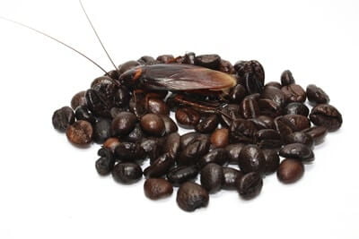 is there ground up cockroaches in coffee?