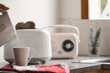 cockroaches living in toaster