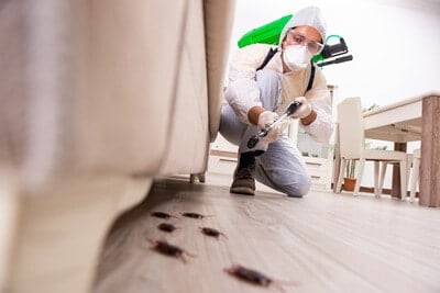 will fumigation kill cockroaches?