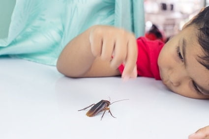 are roach bites harmful?
